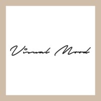 Visual Mood logo - Similar company to Blackstar Fusion Software