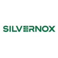 Silvernox Datacenter logo - Similar company to Validatelia