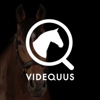 Videquus AB logo - Similar company to Startups Ignited Podcast
