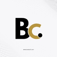 Brainciti Consulting Dubai logo - Similar company to Dba Air Solutions