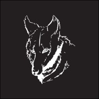 Mergen Entertainment logo - Similar company to Conquer Games