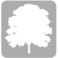 SilverTree logo - Similar company to Silver Tree Consulting & Services