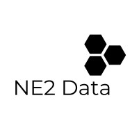 NE2 Data Limited logo - Similar company to Atria Analytics