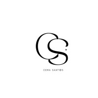 Cema Santos Career & Culture logo - Similar company to Wapetia