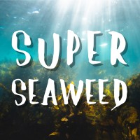 Super Seaweed Movie logo - Similar company to Seawiser
