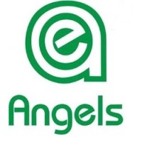 Angels Enterprises (Pty) Ltd logo - Similar company to Express Copy Shop
