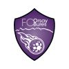 FOOTBALL CLUB ORSAY BURES logo - Similar company to Sfcbn (Standard Football Club De Bailly-Noisy Le Roi)