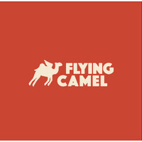 Flying Camel Films logo - Similar company to Bright Future Group