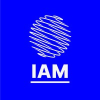 IAM logo - Similar company to Iam Cloud