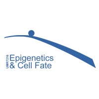 Epigenetics and Cell Fate Centre logo - Similar company to Epigenetics