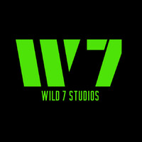 Wild 7 Studios logo - Similar company to Capeside Studios
