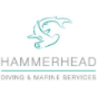 Hammerhead