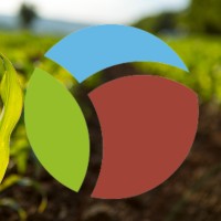 Biova France logo - Similar company to Bee'S