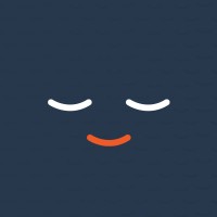 Wyzer logo - Similar company to Knowledge Fabric