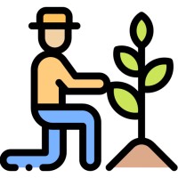Tarım Hocam logo - Similar company to Dd Çınaraltı Gıda San. Tic. Ltd. Şti.