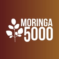 Moringa 5000 logo - Similar company to Moringa Conseil