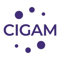 CIGAM GLOBAL logo - Similar company to Digitalendpoint