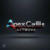 Apexcalls Network logo - Similar company to Fb&S Logistics