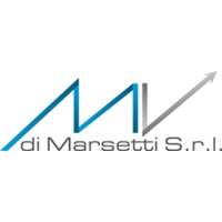 Mv Marsetti Srl logo - Similar company to Mv Srl