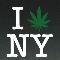 StayHigh NYC logo - Similar company to Arts District Cannabis