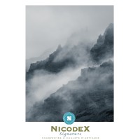 CHARPENTE NICODEX logo - Similar company to Corpus Bois
