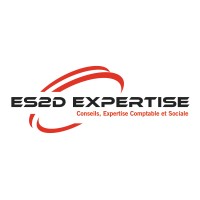 ES2D EXPERTISE logo - Similar company to Axe Experts Idf
