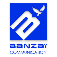 Banzai Communication logo - Similar company to Solubiz