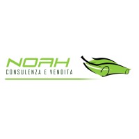 NOAH SRLS logo - Similar company to Miratools