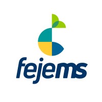 Fejems - Federação De Empresas Juniores Do Estado De Mato Grosso Do Sul