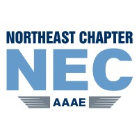NEC/AAAE logo - Similar company to Aaae