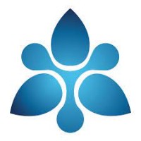 Transchem, Inc. logo - Similar company to Surface Systems, Inc