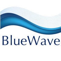 Blue Wave Technology and Management Consulting logo - Similar company to Blue Wave Technologies Llc