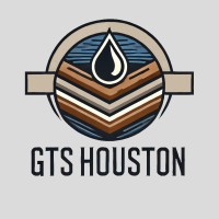 Guoyang Technology and Services (GTS) logo - Similar company to Dtess