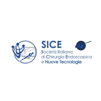 SICE - Società Italiana Chirurgia Endoscopica e Nuove Tecnologie logo - Similar company to San Raffaele Anesthesia And Intensive Care