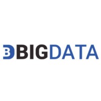 BigData Technology Solutions logo - Similar company to Bigdata.Com
