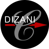 Dizani Consulting logo - Similar company to Methano Group
