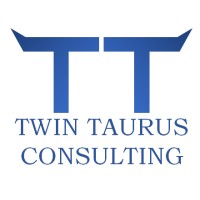 Twin Taurus Consulting LLC logo - Similar company to Software Techniques Inc.
