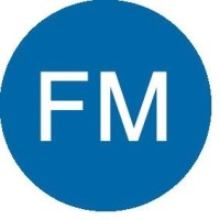 FM Financial Services logo - Similar company to Hlb Trinity (Bvi) Ltd.