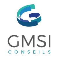 GMSI Conseils logo - Similar company to Giga-Concept