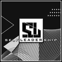 Self Leadership logo - Similar company to Mediapipe