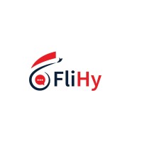 FliHy logo - Similar company to Synthvision Consulting
