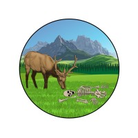 Rocky Mountain Forensics LLC logo - Similar company to B2Btycoons