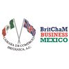 British Chamber of Commerce in Mexico logo - Similar company to Decididas