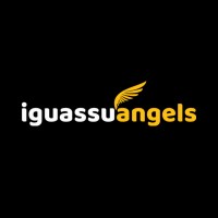Iguassu Angels logo - Similar company to Brasa At Tech