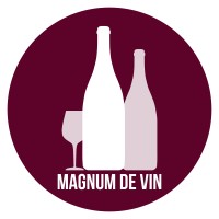 Magnumdevin.com logo - Similar company to Tsa Tout Simplement Autiste