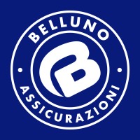 Belluno Assicurazioni logo - Similar company to Allianz Belluno Dolomiti