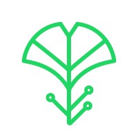 BitBranch logo - Similar company to Caid
