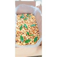 BDNATURALS logo - Similar company to Gurme Bitki