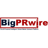 Big PRwire logo - Similar company to Finprowise Solutions