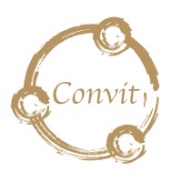 Convit Central GmbH logo - Similar company to Callenium Gmbh